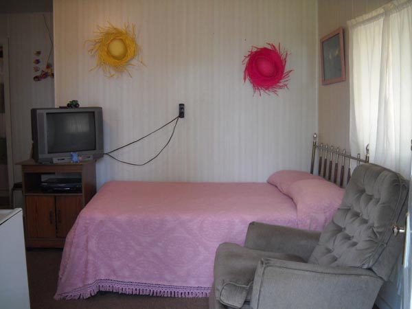The Tropical Cabin
